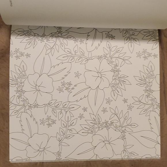 Adult Colouring Books - Picture 5 of 14